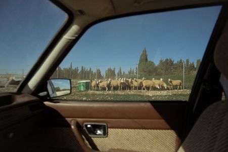 Photographie #7
